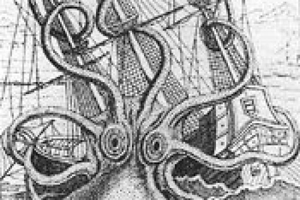 Kraken onion link