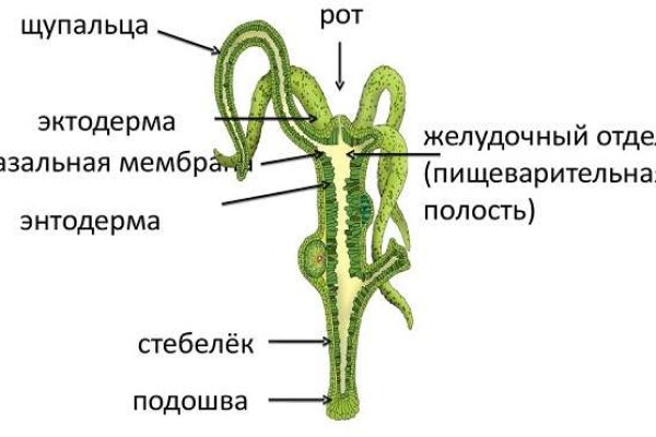Ссылка кракен