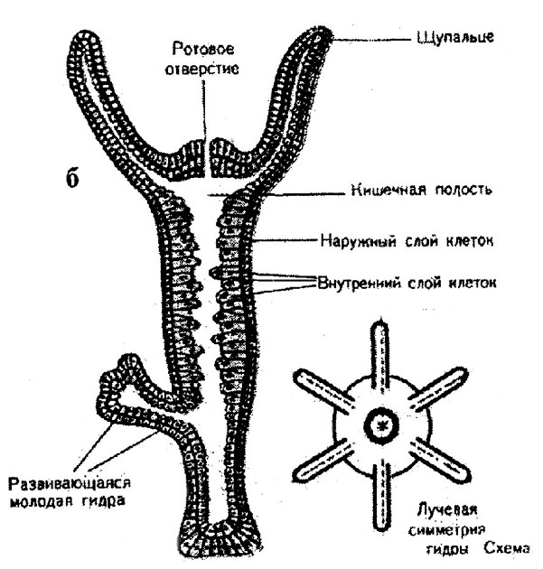 Kra19.cc